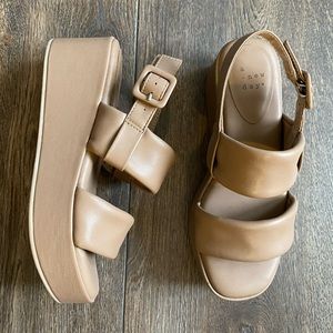 A New Day Platform Wedge Sandal